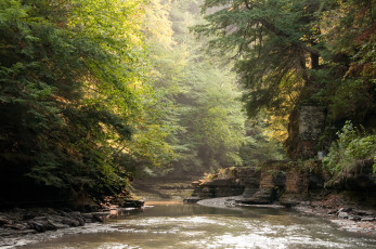 Картинка природа реки озера лес река