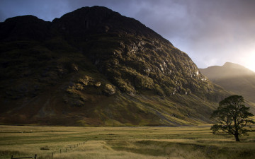 Картинка природа горы поле гора дерево