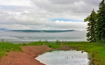 Картинка природа пейзажи лужа пруд лес деревья холмы тучи парсмурно