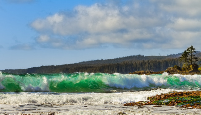 Обои картинки фото природа, моря, океаны, волны, море