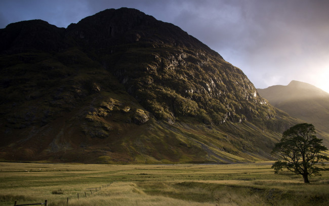 Обои картинки фото природа, горы, поле, гора, дерево