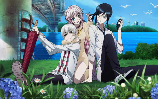 Обои картинки фото аниме, project, k-project, neko, yatogami, kuroh, yashiro, isana