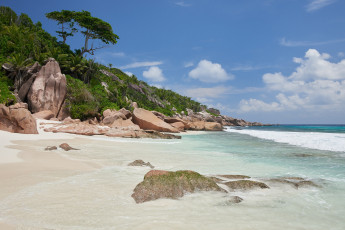 Картинка природа тропики пальмы солнышко пляж море песок