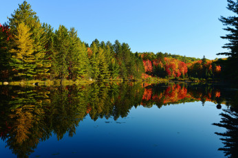 Картинка природа реки озера лес небо осень деревья озеро
