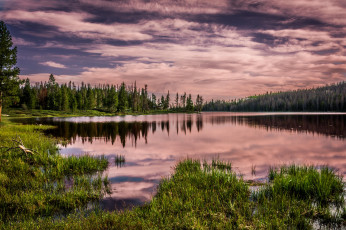Картинка природа реки озера тучи озеро лес
