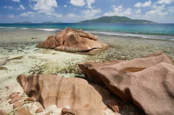 Картинка природа тропики море солнышко песок пальмы пляж