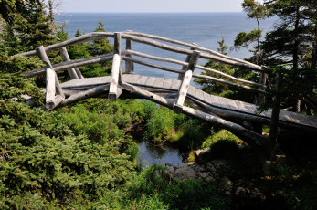 Картинка природа побережье мостик овраг море