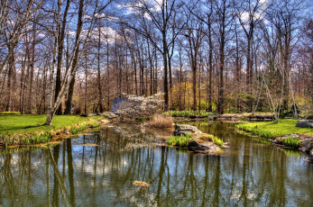 Картинка природа реки озера вода лес