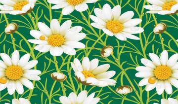 Картинка векторная+графика цветы листья ромашки