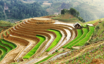 Картинка природа поля пейзаж