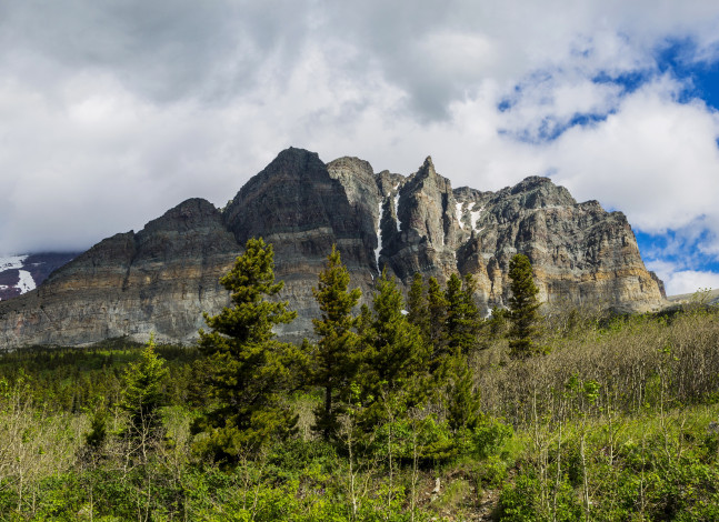 Обои картинки фото монтана сша glacier national park, природа, горы, парк, park, монтана, сша, glacier, ели, трава