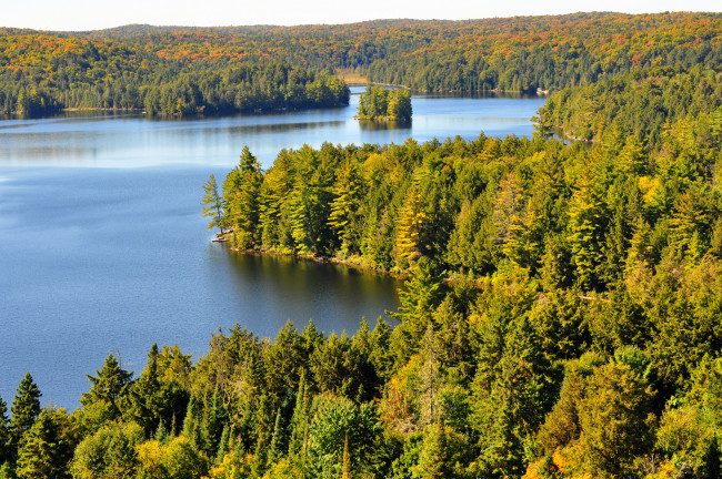 Обои картинки фото природа, реки, озера, небо, лес, река, остров, деревья, пейзаж