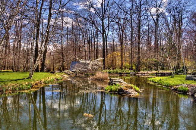 Обои картинки фото природа, реки, озера, вода, лес