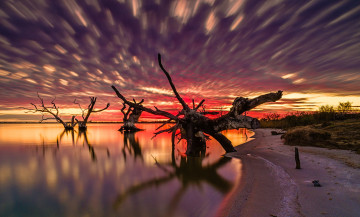 Картинка природа восходы закаты деревья озеро закат