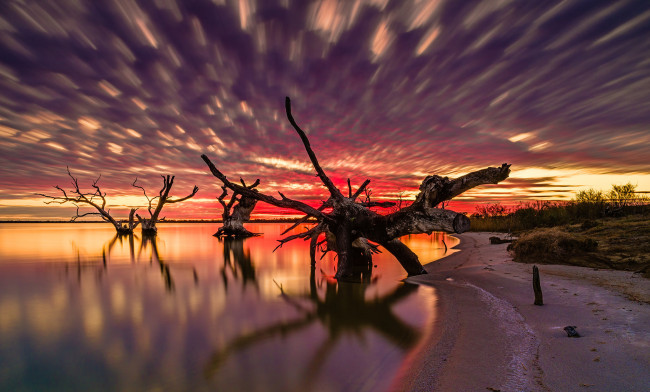 Обои картинки фото природа, восходы, закаты, деревья, озеро, закат