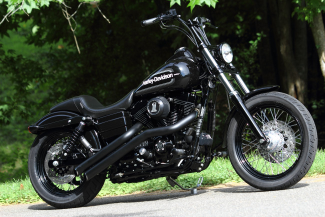 Обои картинки фото мотоциклы, harley-davidson, fxdb
