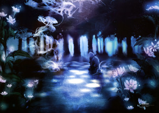 Картинка аниме fate zero berserker