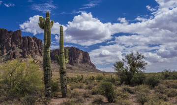 Картинка природа пустыни простор