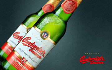 Картинка бренды budweiser пиво