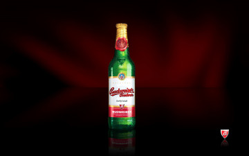Картинка бренды budweiser пиво