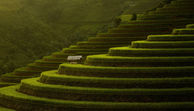 Обои картинки фото природа, горы, террасы, уступы, сарай