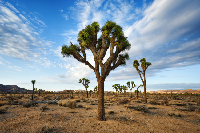 Обои картинки фото природа, пустыни, простор