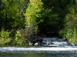 Картинка природа реки озера вода камни