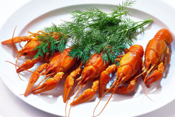 Картинка еда рыба +морепродукты +суши +роллы укроп раки