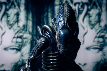 Картинка фэнтези Чужой+ alien Чужой