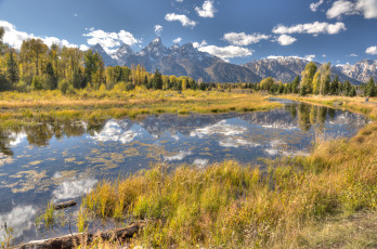 Картинка природа реки озера река лес