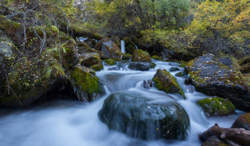 Картинка природа реки озера скалы лес бурная река водопад