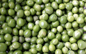 Картинка еда бобовые горошек зеленый
