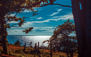 Картинка природа реки озера лето река деревья