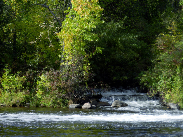 Обои картинки фото природа, реки, озера, вода, камни