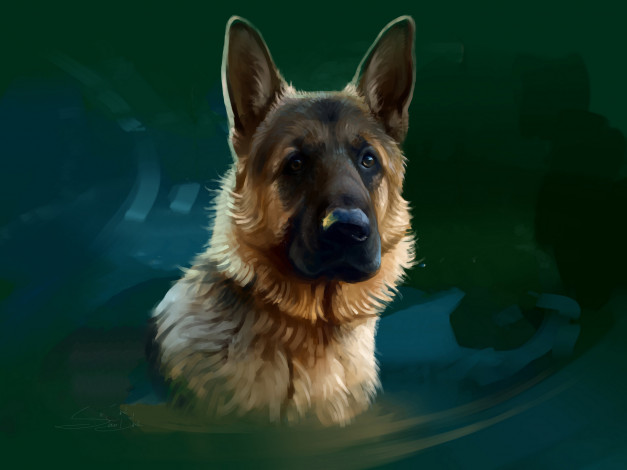 Обои картинки фото рисованное, животные,  собаки, морда