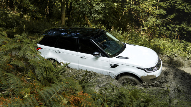 Обои картинки фото range rover sport plug in hybrid 2018, автомобили, range rover, plug, sport, range, rover, 2018, hybrid