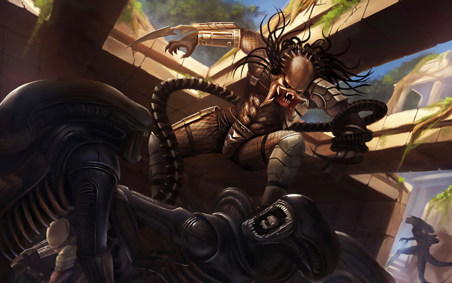 Обои картинки фото фэнтези, ангелы, атака, хищник, чужой