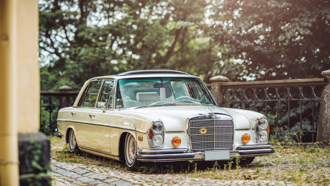 Обои картинки фото автомобили, mercedes-benz, w108