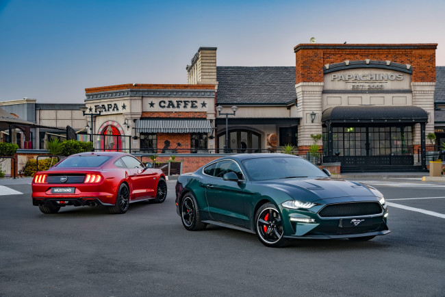 Обои картинки фото автомобили, mustang