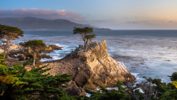 Картинка pebble+beach california природа побережье pebble beach