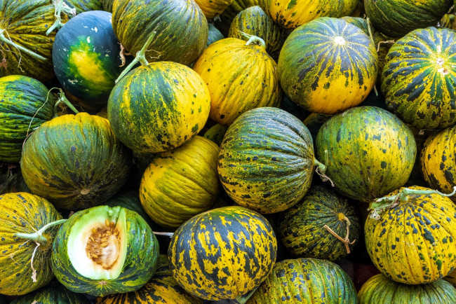 Обои картинки фото еда, дыня, урожай, дыни, много