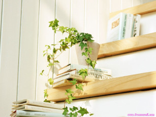 Картинка разное