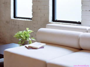 Картинка разное