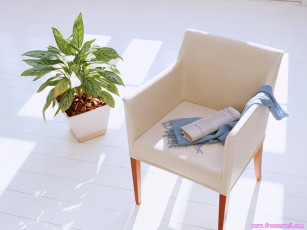 Картинка разное