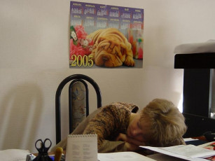 Картинка юмор приколы