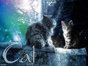 Картинка животные коты