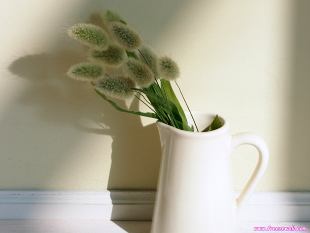 Обои картинки фото цветы