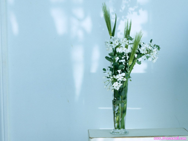 Обои картинки фото цветы, букеты, композиции