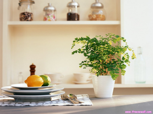 Обои картинки фото разное