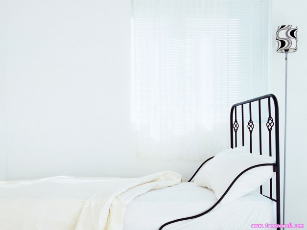 Обои картинки фото разное